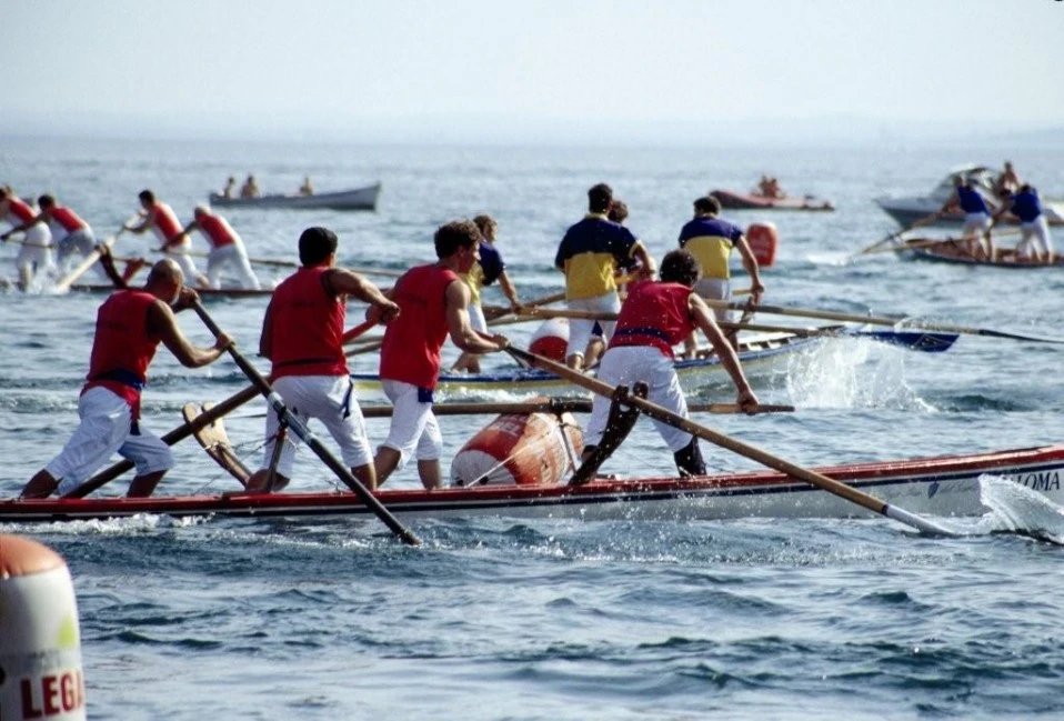 Bisse del Garda — Centro Nautico Bardolino